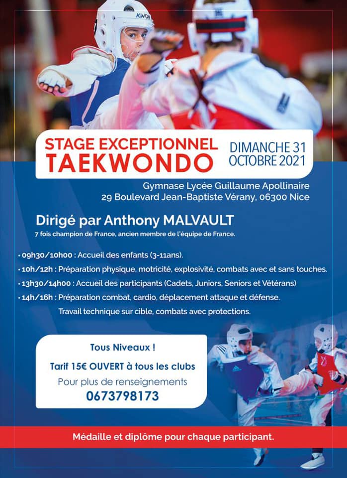 stage combat taekwondo, nice