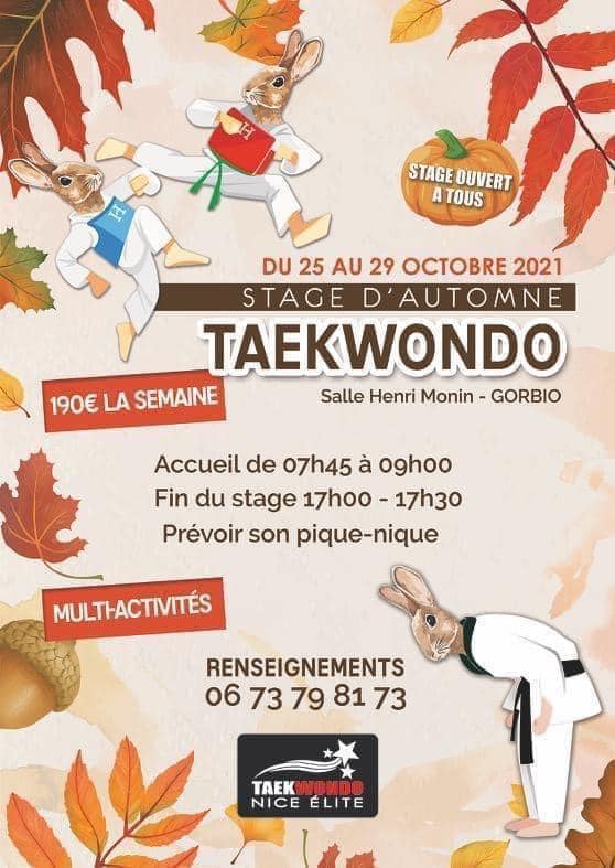 stage taekwondo gorbio, nice