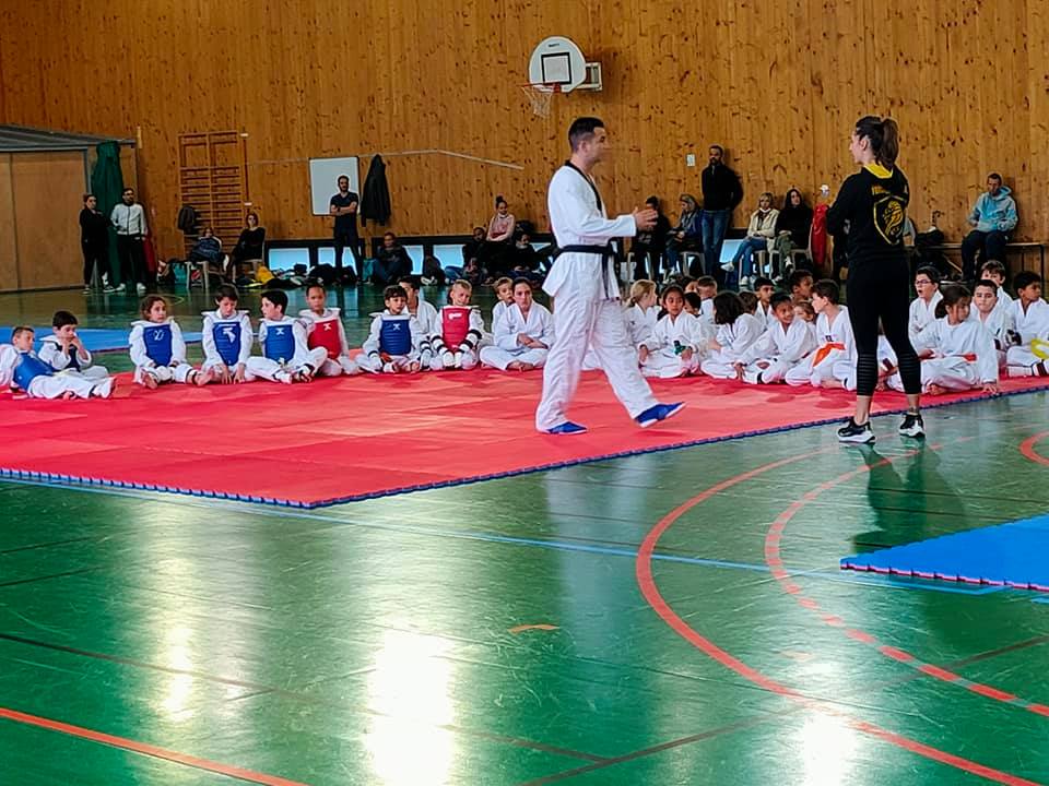 STAGE TAEKWONDO NICE AVEC ANTHONY MALVAULT